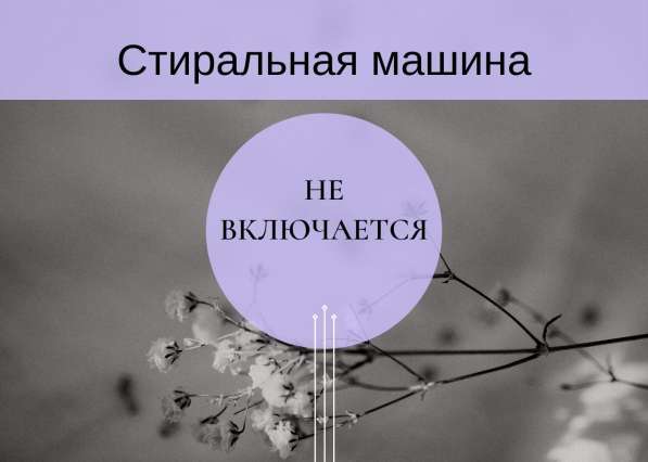 Ремонт стиральных машин в Кудрово в Кудрово фото 24