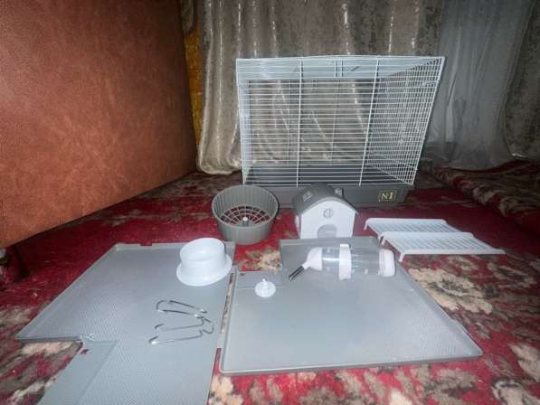 Клетка для грызунов в Камышине фото 4