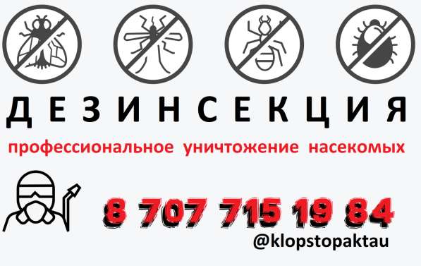 Профессиональное истребление насекомых в Актау и области