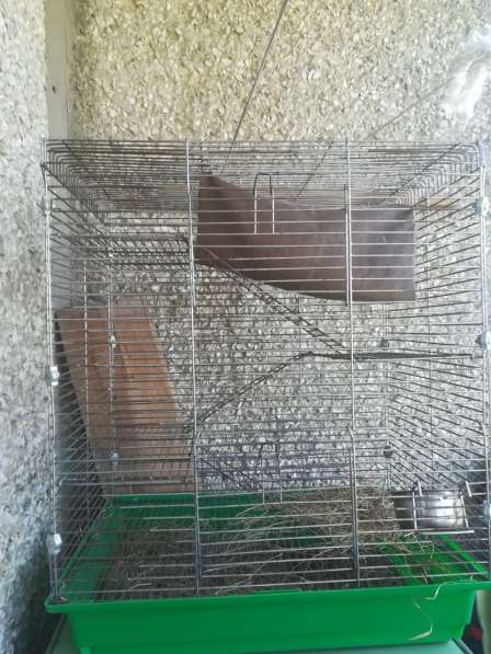 Клетка для грызунов крупного размера в Нижнем Тагиле