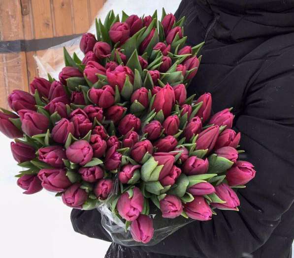 Тюльпаны оптом и в розницу к 8 марта! в Воронеже фото 7
