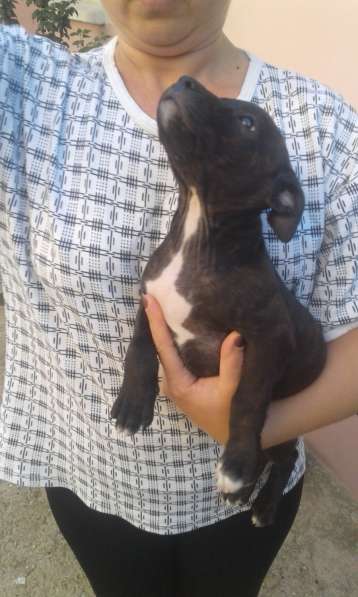 Продаю не дорого в Симферополе