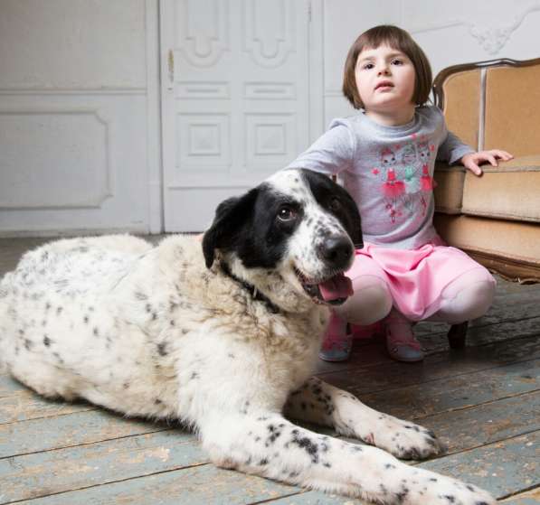 Благородный Герцог ищет семью в Москве фото 43