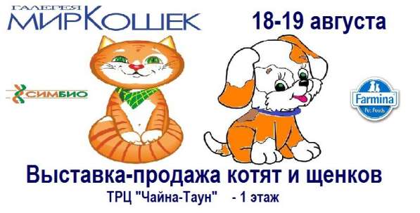 18-19 августа выставка продажа котят