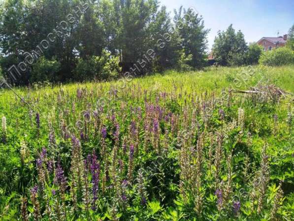 realty_mapper3.plot_in_locationИндивидуальное жилищное ст-во. Площадь 30.00 сот.Есть Электричество. в Москве фото 40