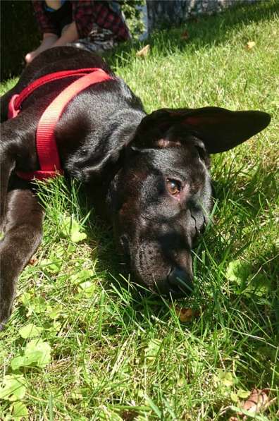 Ангел ищет семью в Москве фото 7