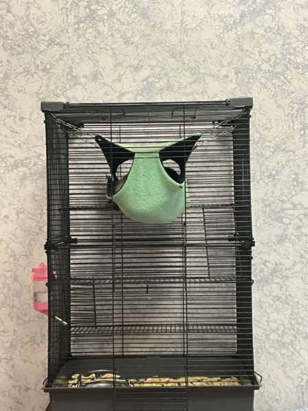 Клетка для крысы в фото 6