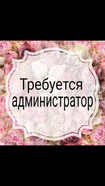 Администратор WhatsApp