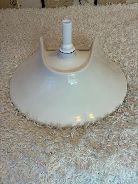 Раковина тюльпан