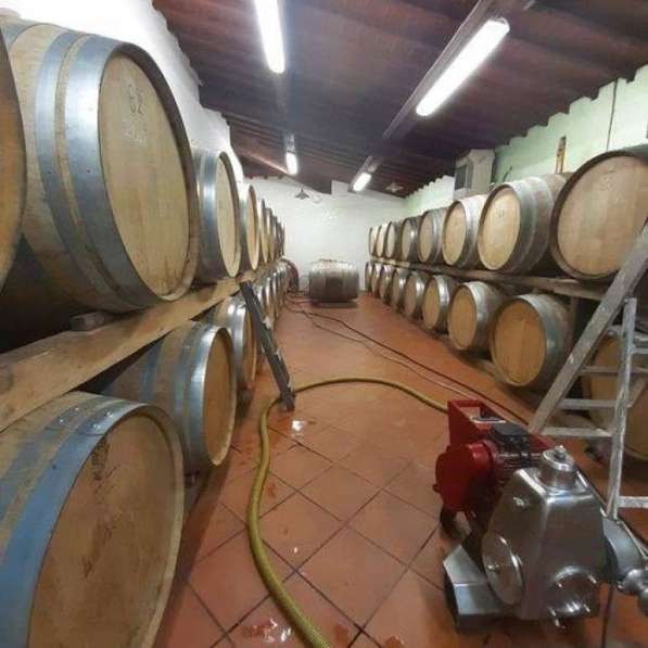 Продается красивый винный завод на холмах кьянти в 