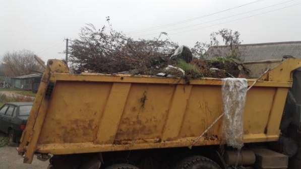 Спил и обрезка деревьев.Вывоз строительного мусора в Смоленске фото 3