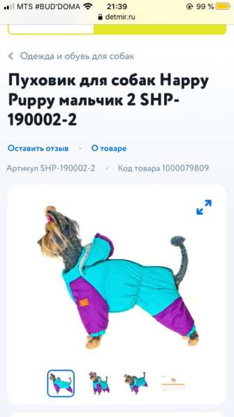 Одежда для собак в Перми фото 9