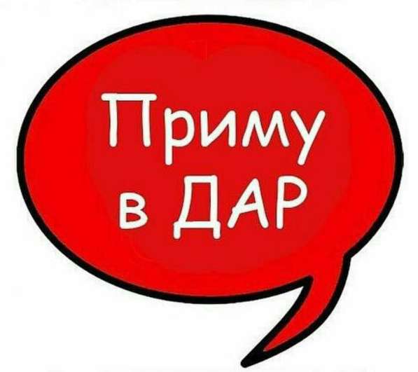 В ДАР в Вологде фото 3