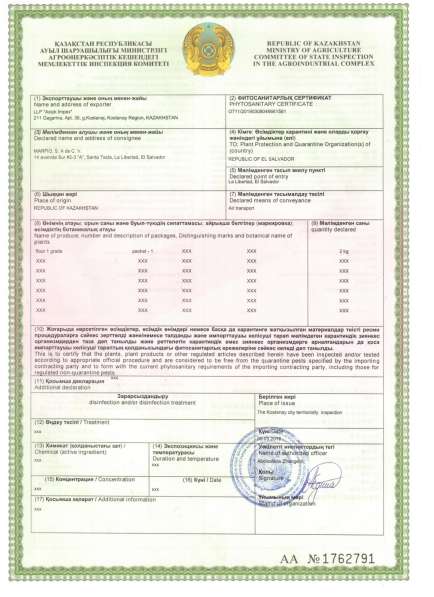 Мука пшеничная для Хлебзаводов особые условия в фото 4