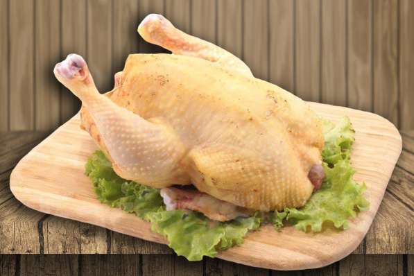 Куры бройлерные домашние