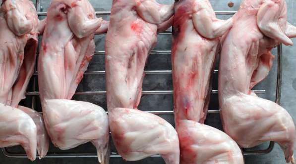 Мясо кроликов в Обнинске фото 3