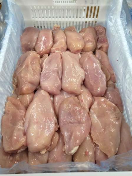 Мясо куриное индейки охлажденное ОПТ 109 руб