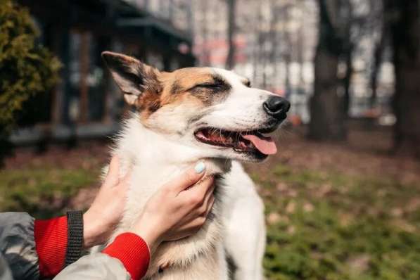 Тунис в поисках любящей семьи в Москве фото 15