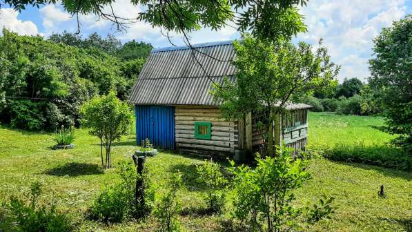 Крепкий домик с баней в хуторного типа деревушке под Псковом в Пскове фото 17