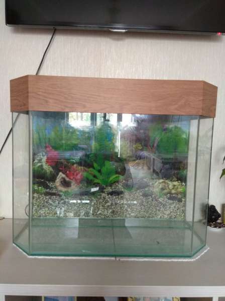 Продаю аквариум на 100 литров в Новосибирске