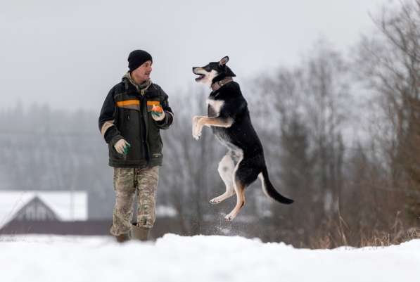 Летающий и улыбающийся пёс Макс в добрые руки в Москве фото 10