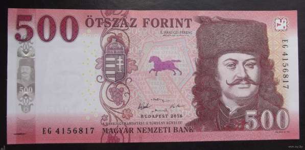 БАНКНОТЫ в фото 15