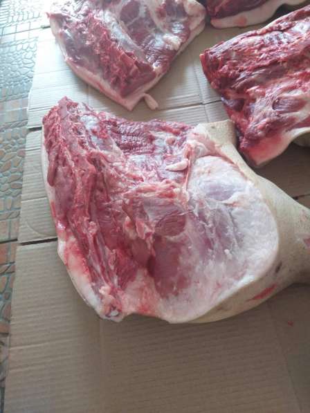 Мясо свинина обрезная по 300 р в Ставрополе фото 4