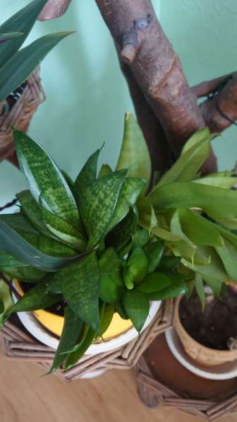 Сдам квартиру