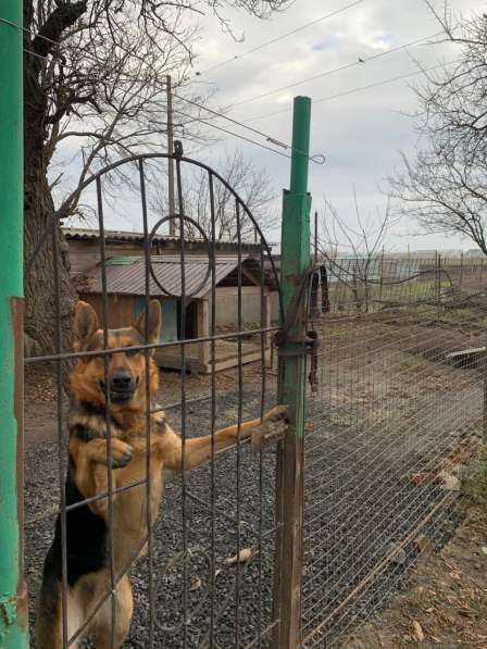 Продам дом в Займо-Обрыве в Азове фото 3