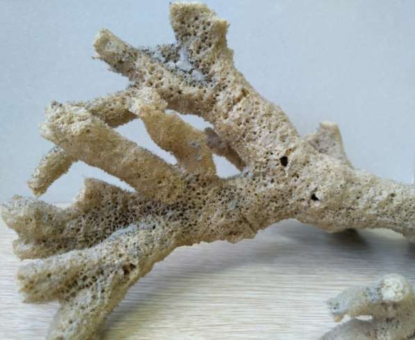 Куплю бадягу сырье немолотое