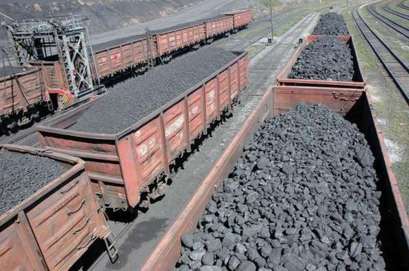 Оптовая продажа угля без пули от производителя прямые продаж в Волгограде фото 17
