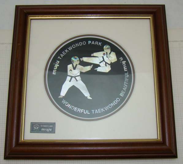 Картина украшение Тхэквондо (W073) в Москве фото 8