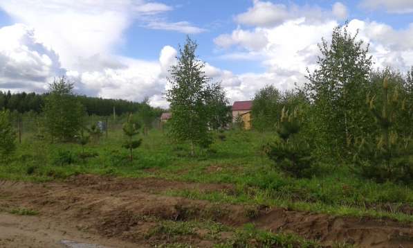 Участок для ИЖС в деревне Финеево в Киржаче фото 5