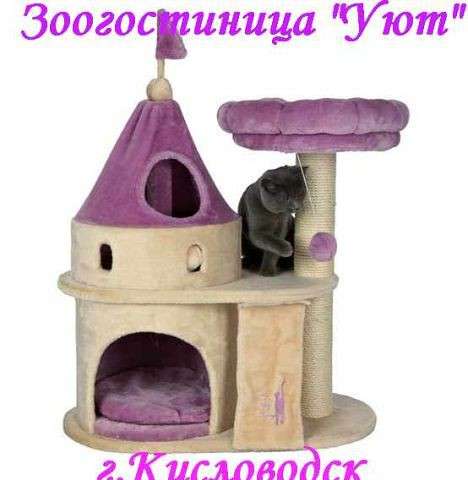 Зоогостиница в Кисловодске фото 5