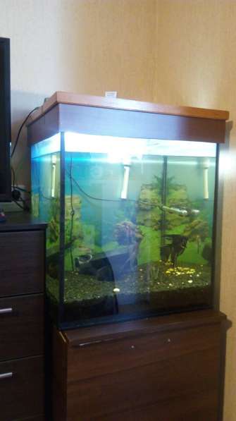 Продам аквариум-куб 160 литров в фото 6