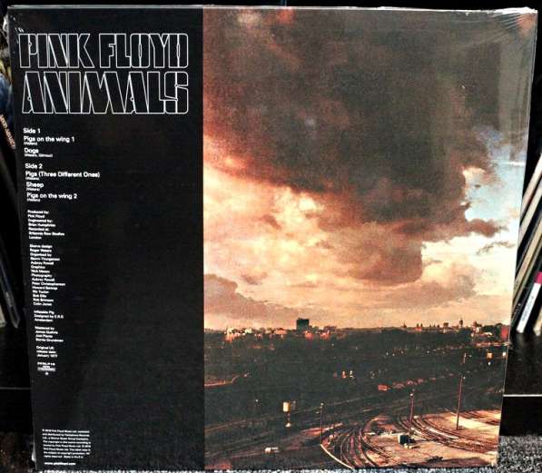 Pink floyd -Animals 1977 /2016 в Мытищи
