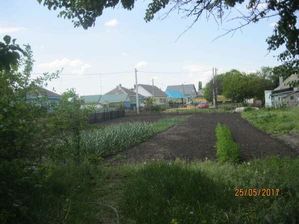 Продается дом в поселке Колодезный Воронежской области в Воронеже фото 7