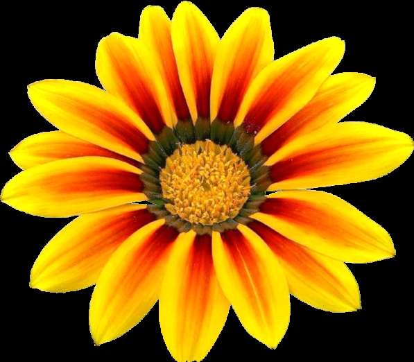 Проведем аудиторскую проверку! в Москве фото 14