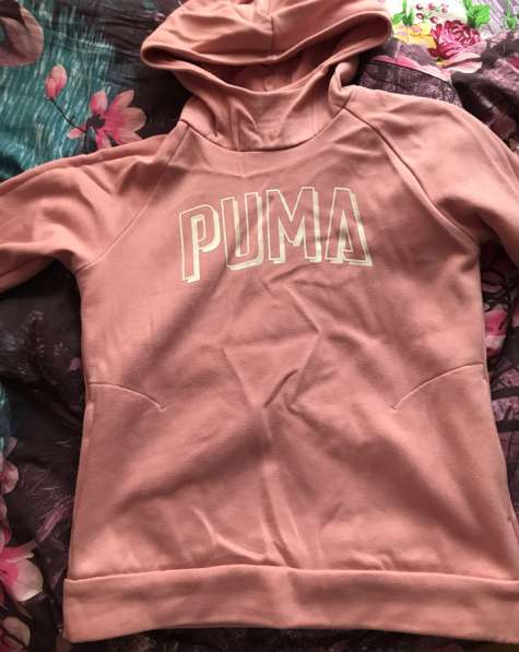 Puma в 