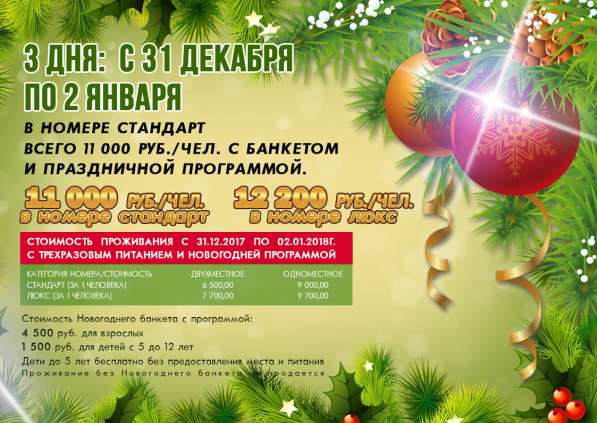 База отдыха в Подмосковье на Новый год 2018 в Москве фото 8
