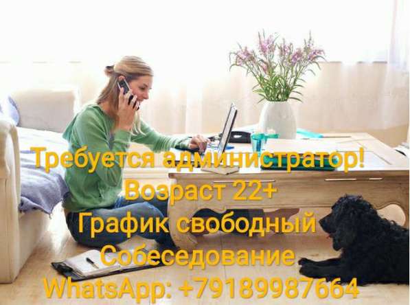 Срочно требуется!