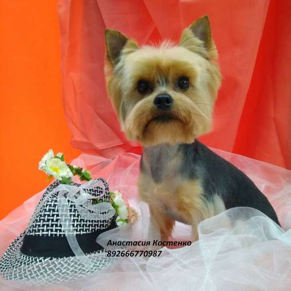 Зоосалон Эверест в Балашихе