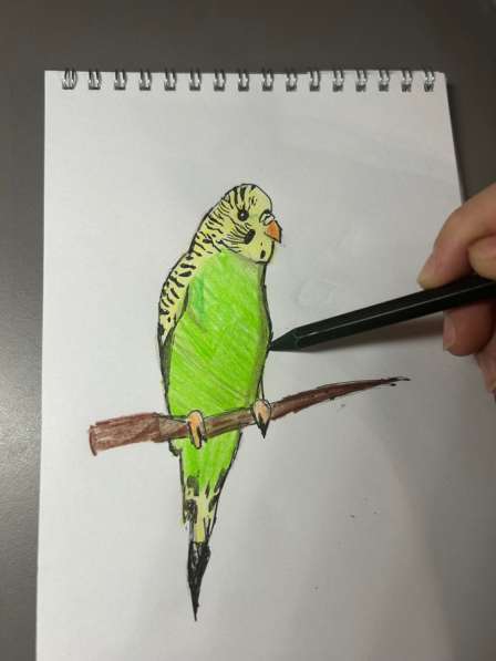 Рисую ваших петлицей за 50 рублей ❤️
