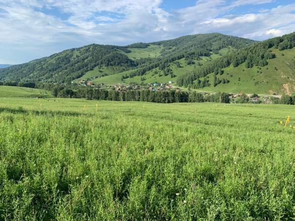 Продам у часток в Горно-Алтайске фото 7