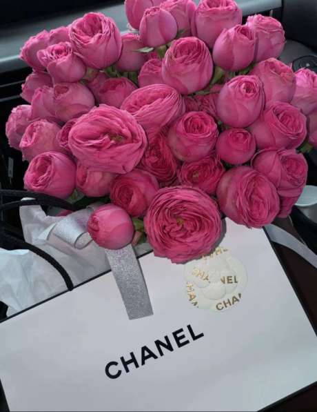 Вакансия фрилансера