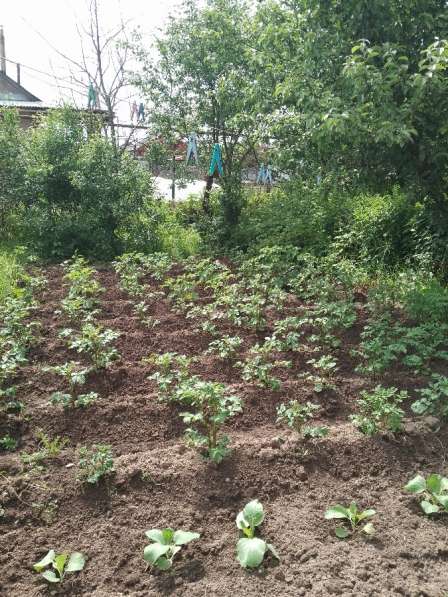 Дом в Иванове