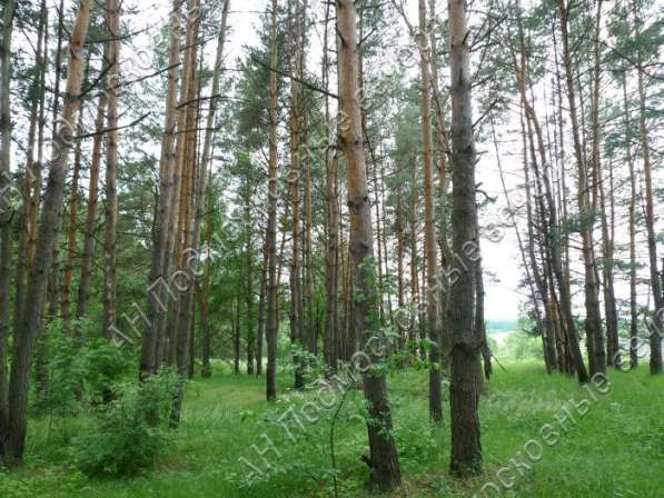 realty_mapper3.plot_in_locationИндивидуальное жилищное ст-во. Площадь 12.00 сот.Есть Электричество. в Москве фото 10