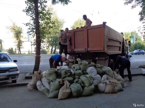 Вывоз мусора. Вывоз строительного мусора в Воронеже фото 5