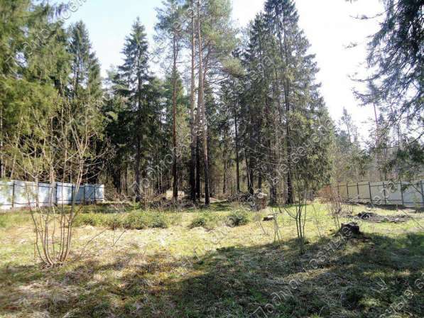 realty_mapper3.plot_in_locationСадовое некоммерческое тов-во. Площадь 20.00 сот.Есть Электричество. в Москве фото 12