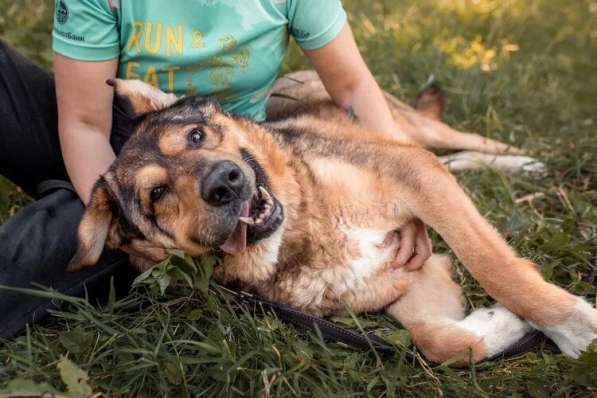 Макс ищет дом в Москве фото 6